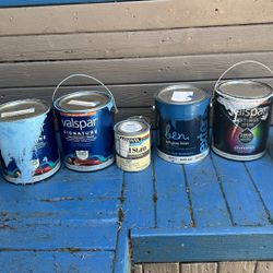 Free Paint Leftovers 