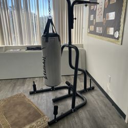 Punching/kick Bag W/stand 