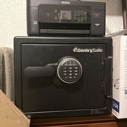 Barley Used Sentry Safe 