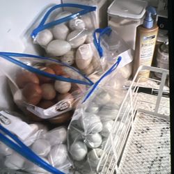Eggs 