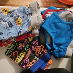 15 Pairs 4T Undies