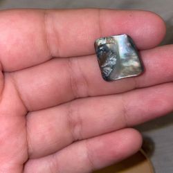 Pearl Real Found On The Beach In Ca 