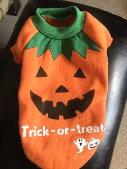 Dog outfit