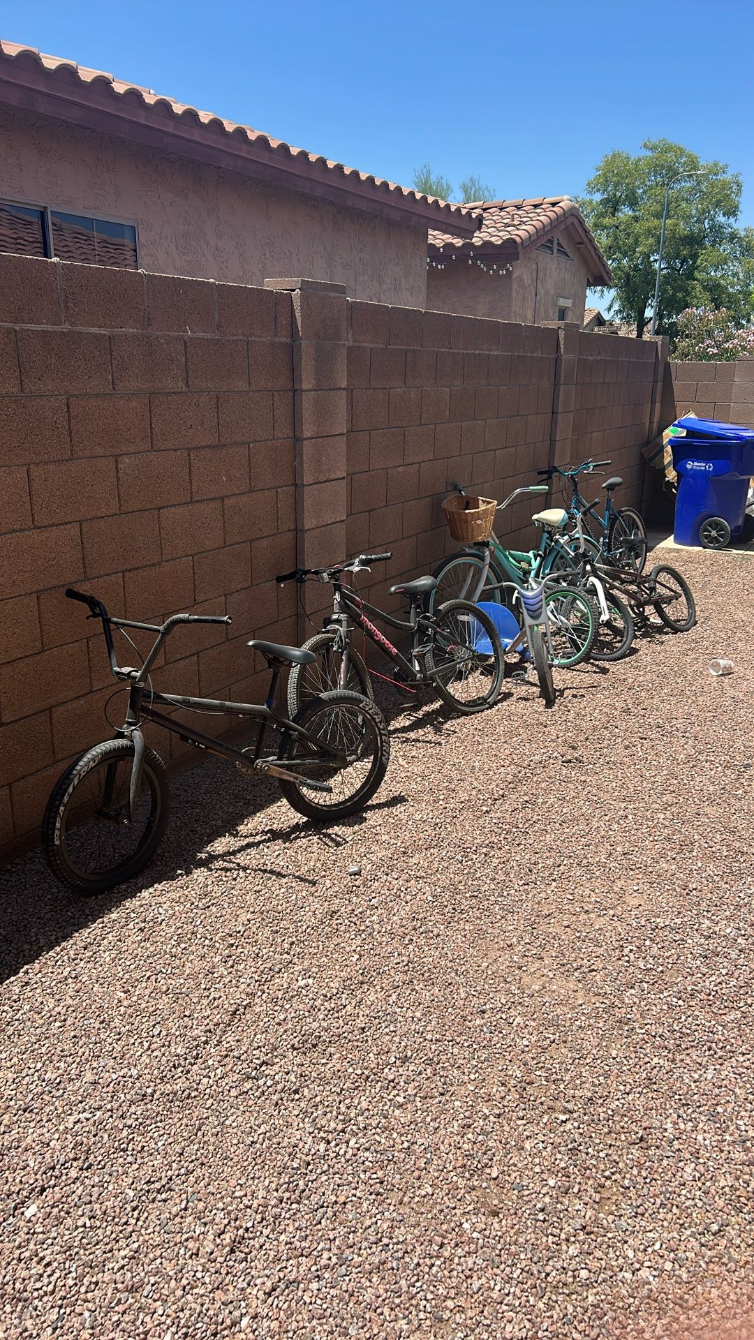 6 Bikes