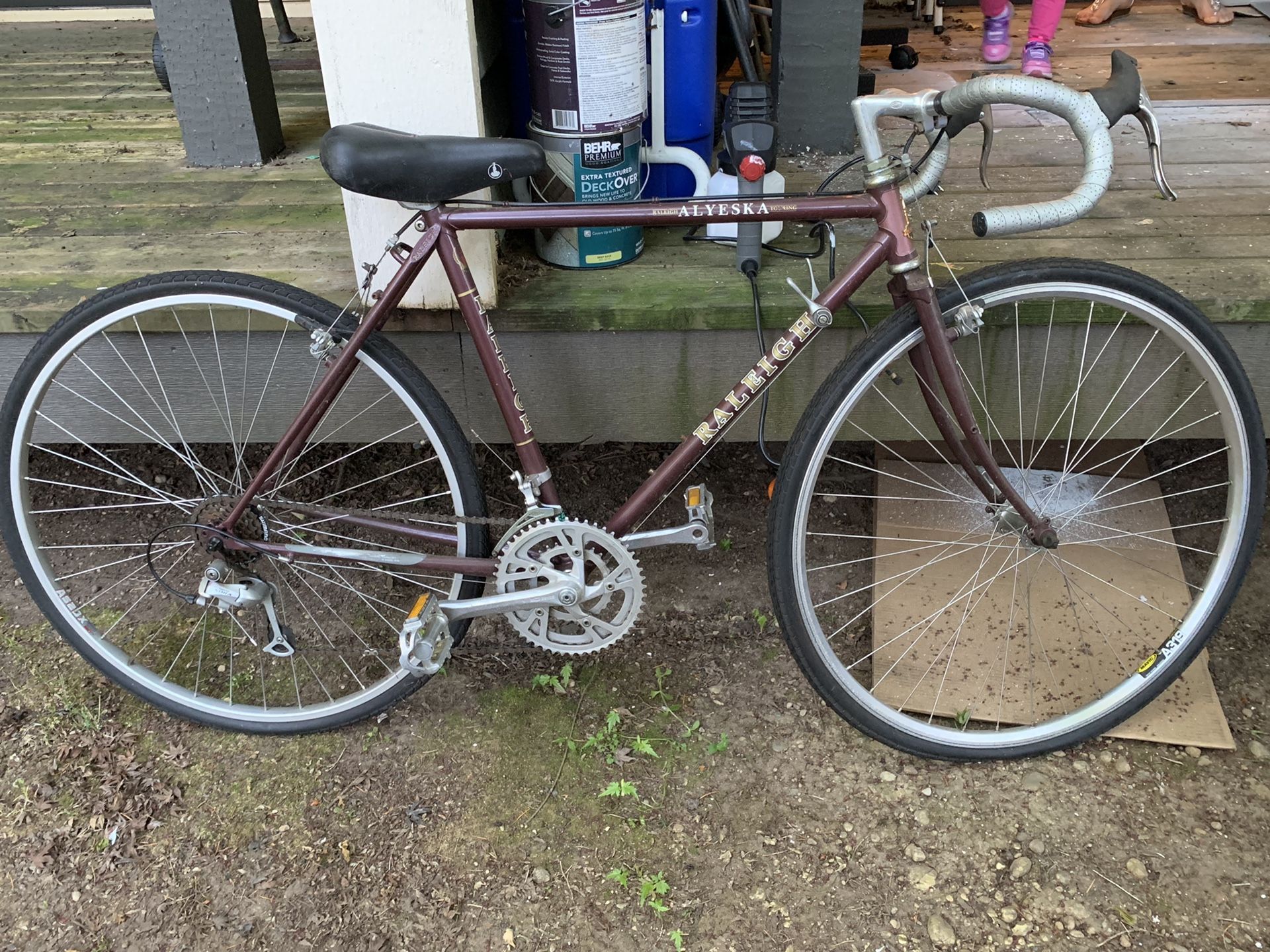 Raleigh Bike