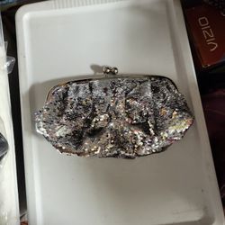Silver Sequined Clutch