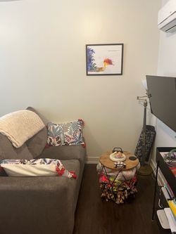 1.5 year old Loveseat! (Right arm)
