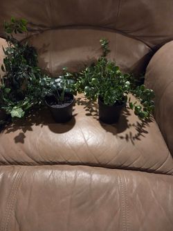 Artificial hanging plants in a pot