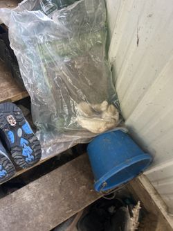 Boot And Shoes For Sale