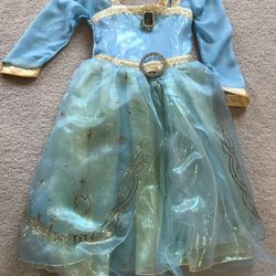 Halloween/dress up Disney Princess outfit 