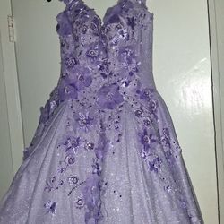 Quinceañera Dress 