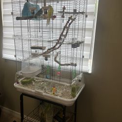 Bird Cage | EVERYTHING INCLUDED