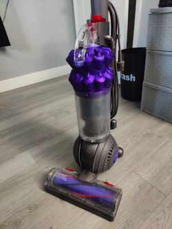 Dyson animal ball compact