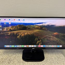 29” LG Monitor 
