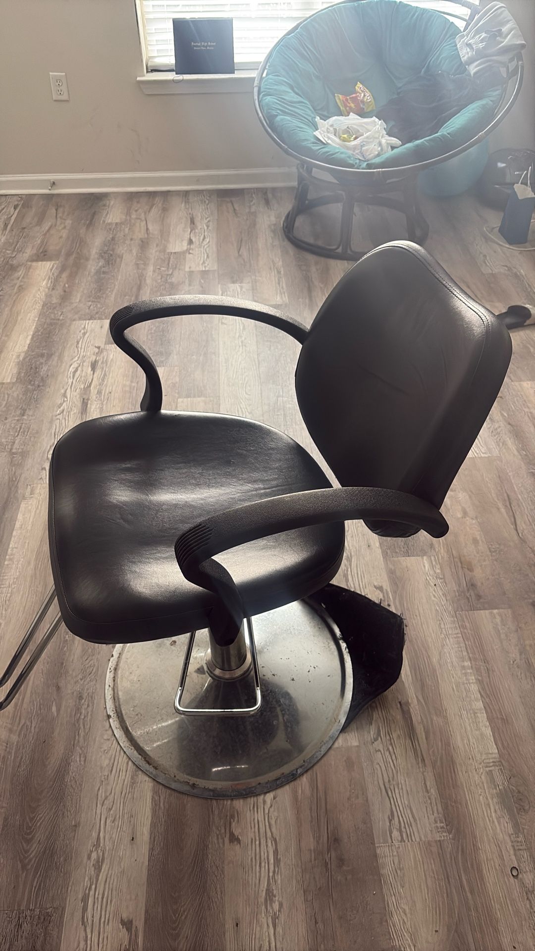 Hair Salon Chair