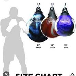 Aqua Boxing Bag  