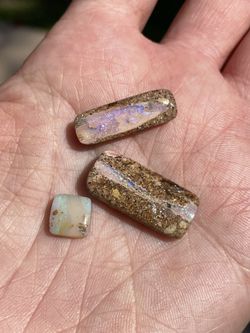 Pipe opals Australian 