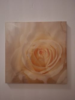 Beautiful Frames. $4 Each Or 3 For $10