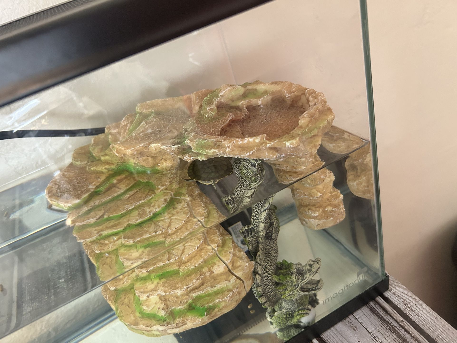 Fish Tank/turtle