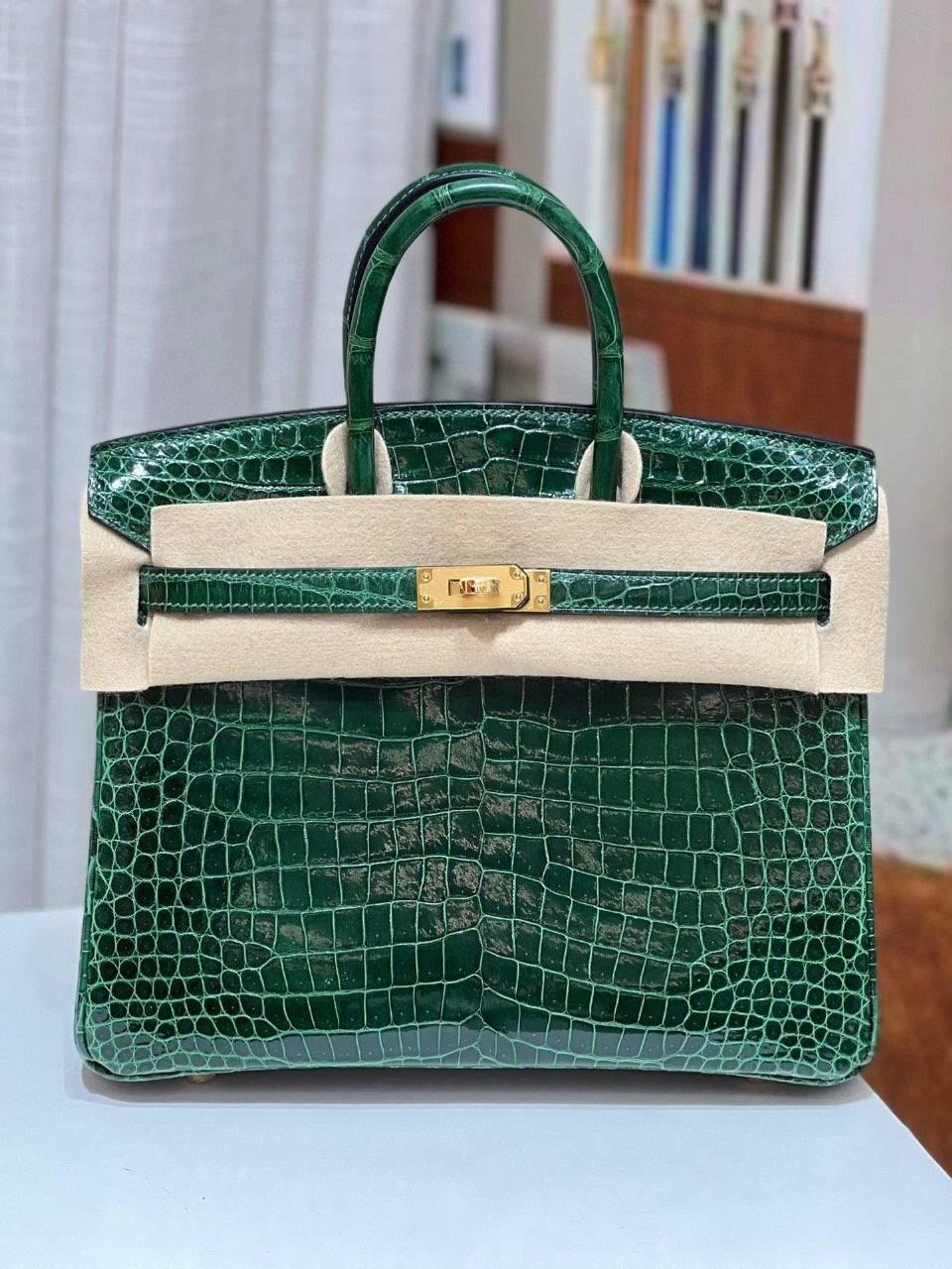 Beautiful Women Handbag 