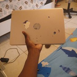 Hp Laptop 