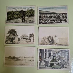 6 Vintage Post Cards Hotel Galvez Long Horn Houston Texas Eskildsen
