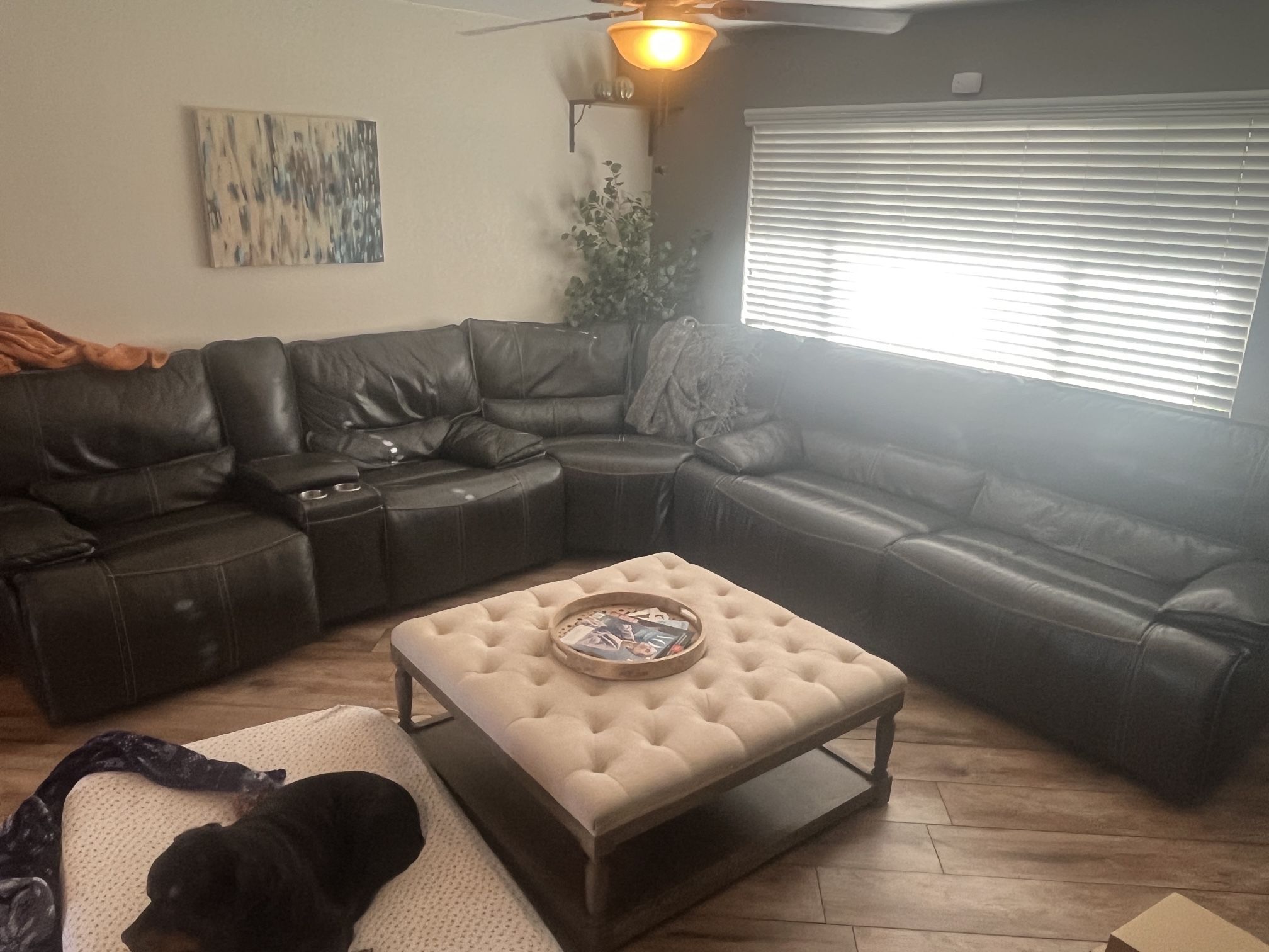 Leather Couches Sectional
