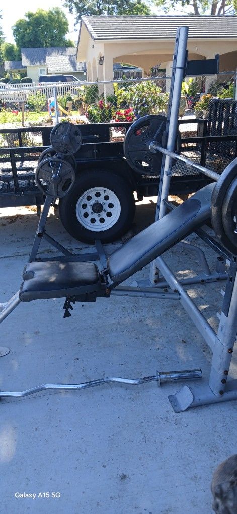 Weights And Weight Bench