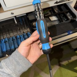 Ratcheting Multi-Bit Screwdriver Set