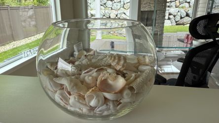 Large Decorative Natural Seashell Glass Vase Jar Bowl 6.5” x  5” x 8”