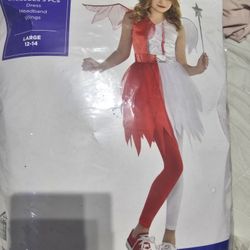 Halloween Costume 