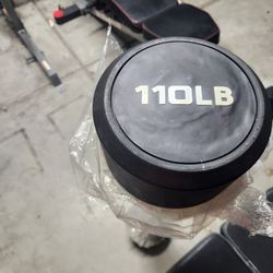 110 Lb Fixed Curling Bar New
