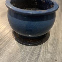 Beautiful Blue Pot For Plants- $25