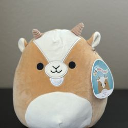 Squishmallow Plushie