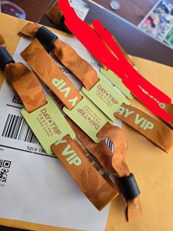 3 Sunday Day Trip VIP wristbands