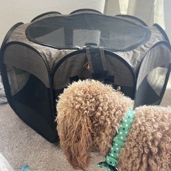 Portable Doggy Playpen 