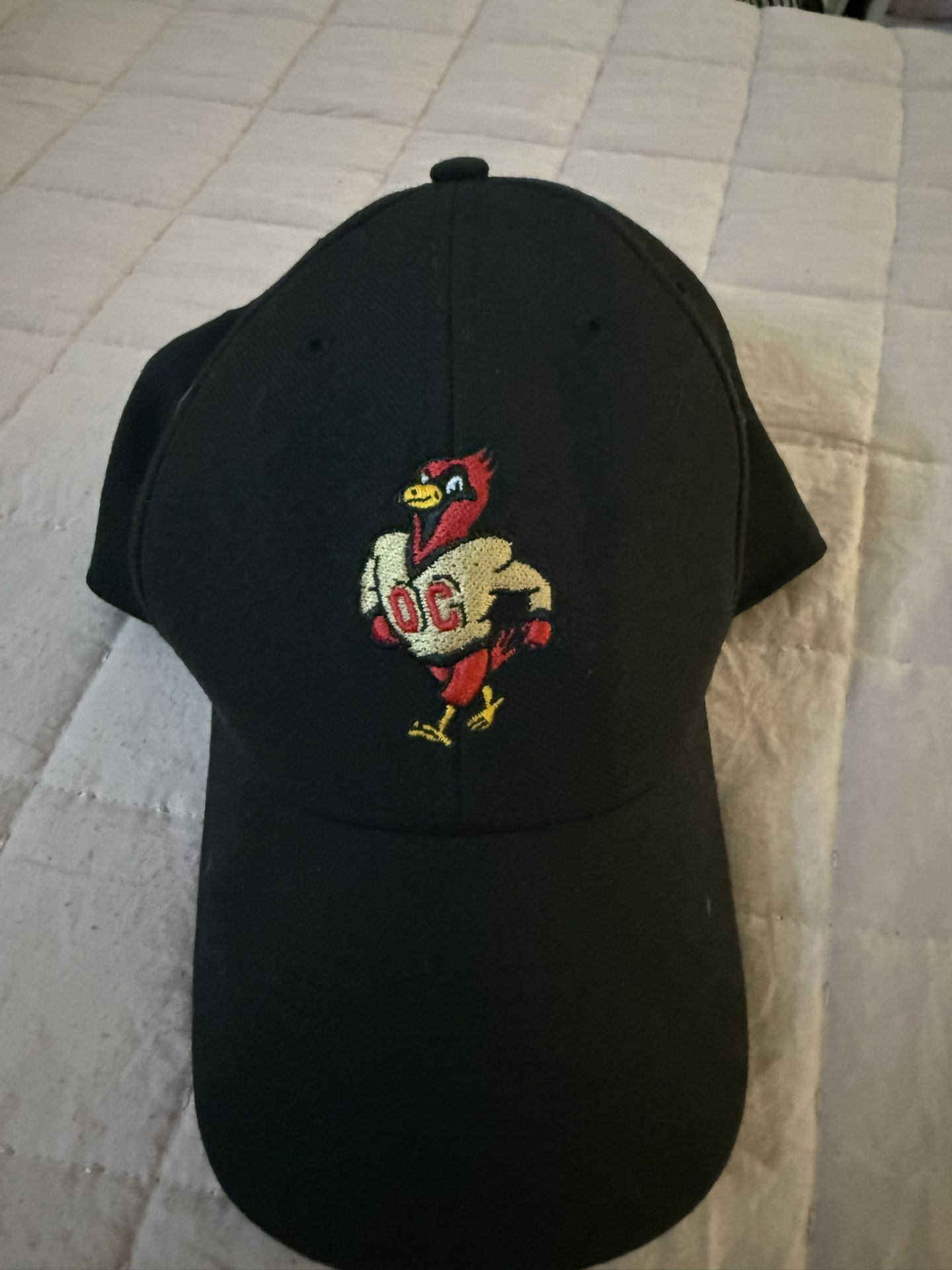 Otterbein Lot Size M 