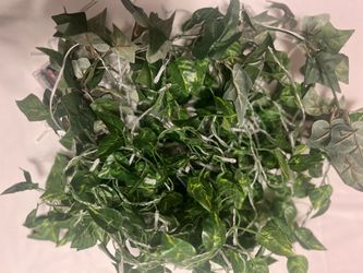 Cute Led lights with vines