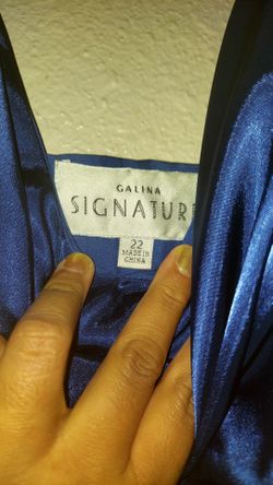 Galina Signature: David's Bridal Bridesmaid Dress