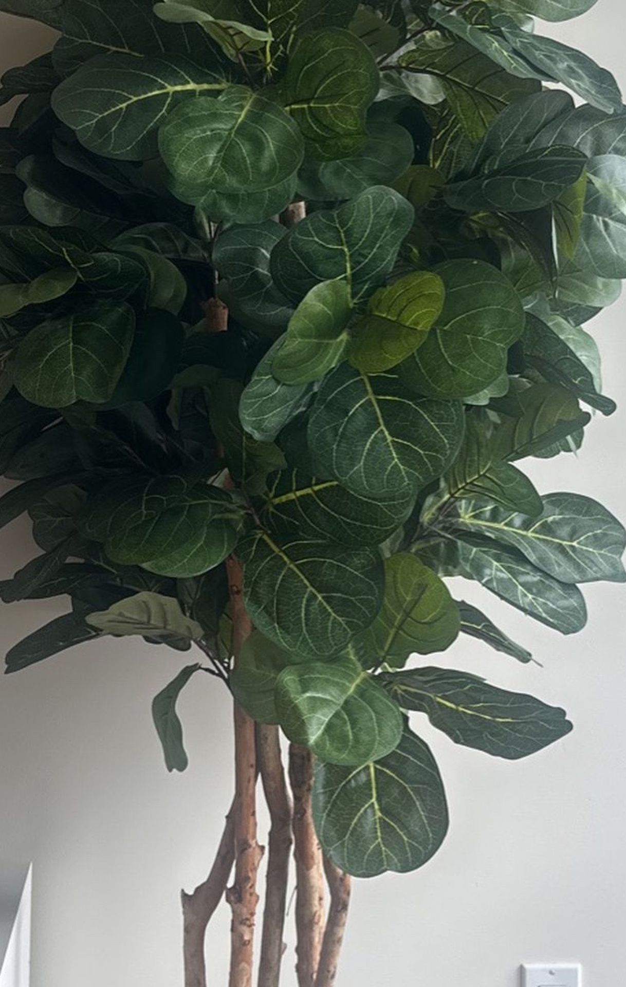 Indoor / Outdoor Fake Fig Tree - Very Life Life  Planter Included