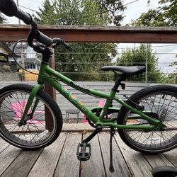 REI Rev 20 Kids bike