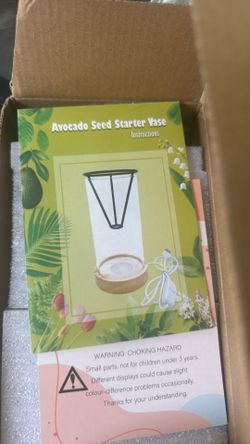 Avacado seed starter vase