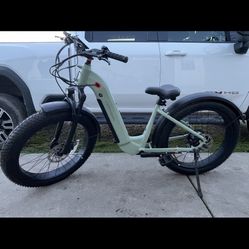 Retrospec Ebike