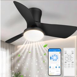 30 Inch Low Profile Ceiling Fans with Lights and Remote & APP Control