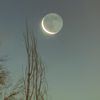 Ma Lourdes Herrera