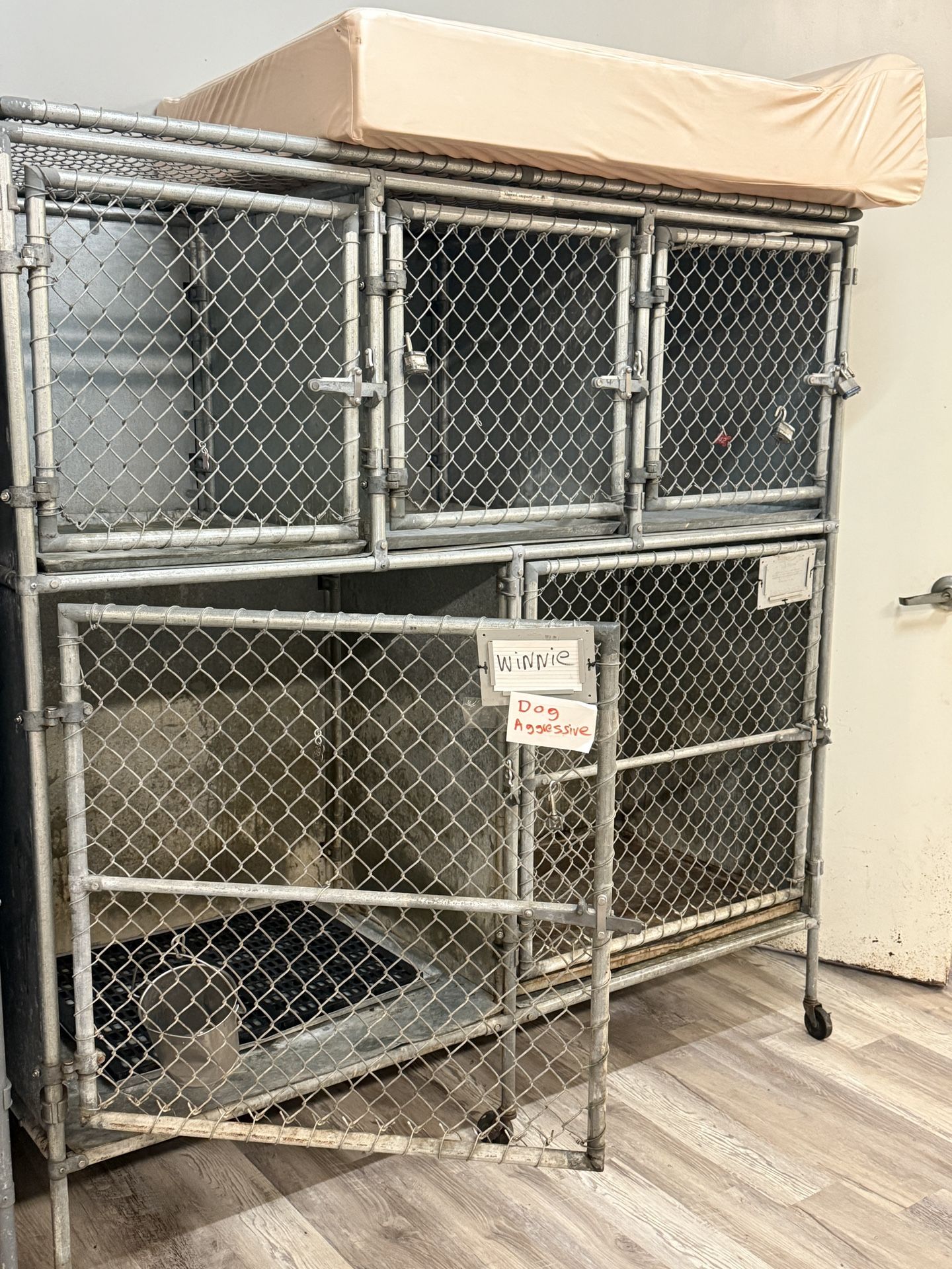 Dog Or Monkey Cages .. We Have 4 Available