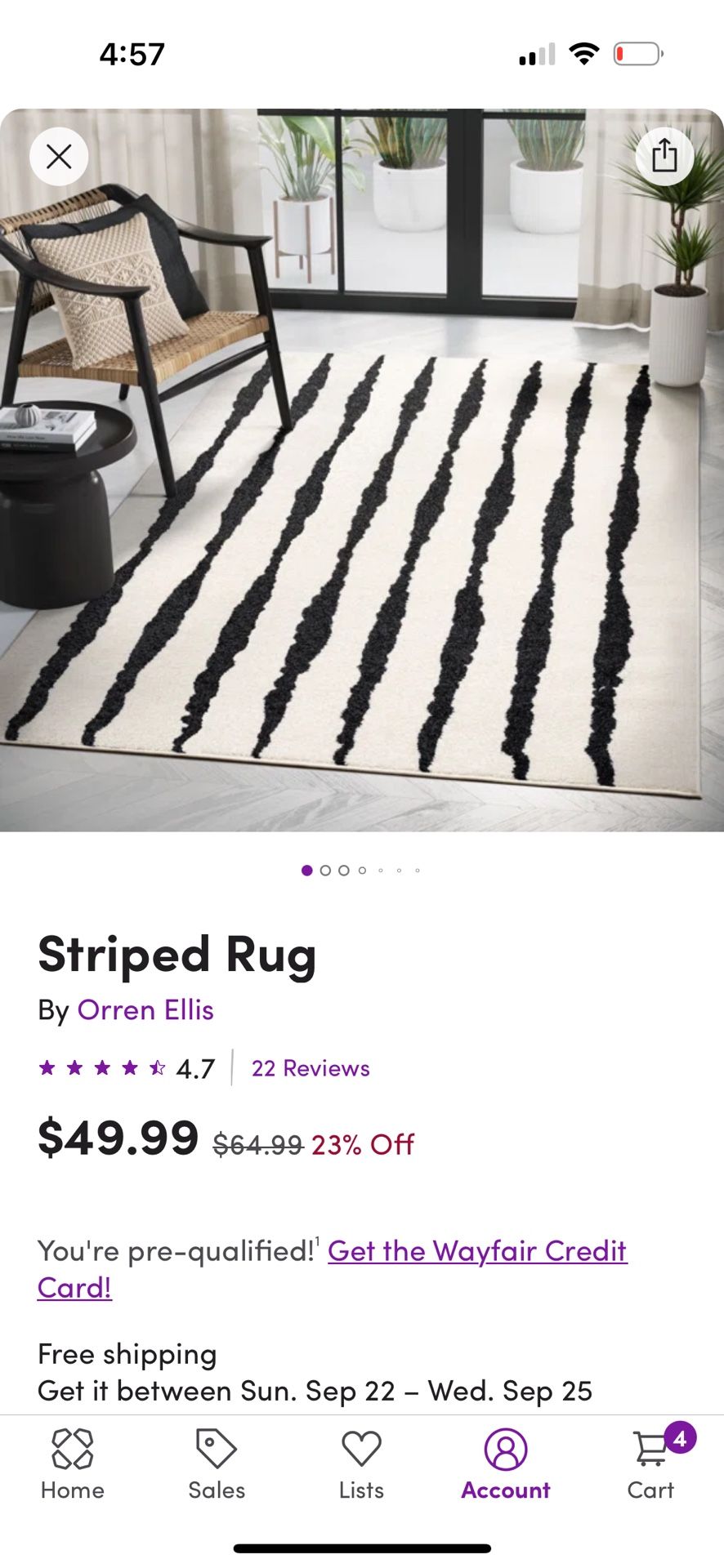 Area Rug