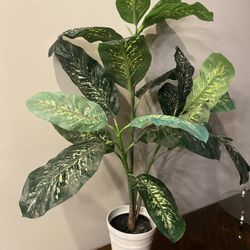 Potted Faux Plant With The Choice Of White, Black Or Gray Pot H42”