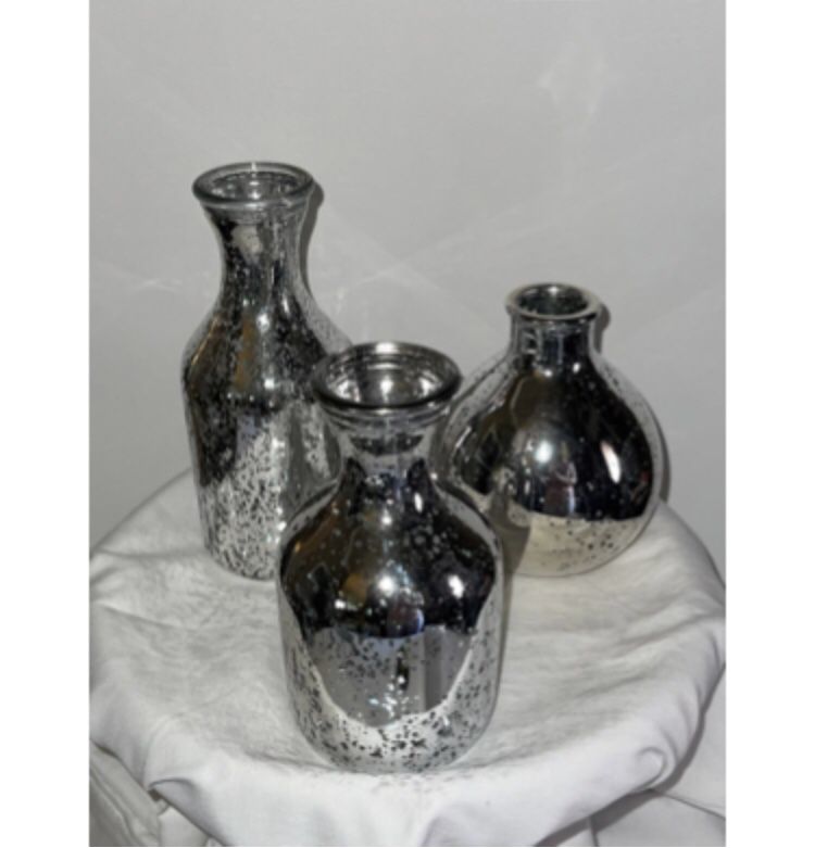 Vases (Silver Mercury Glass) (set of 10 only $1each)