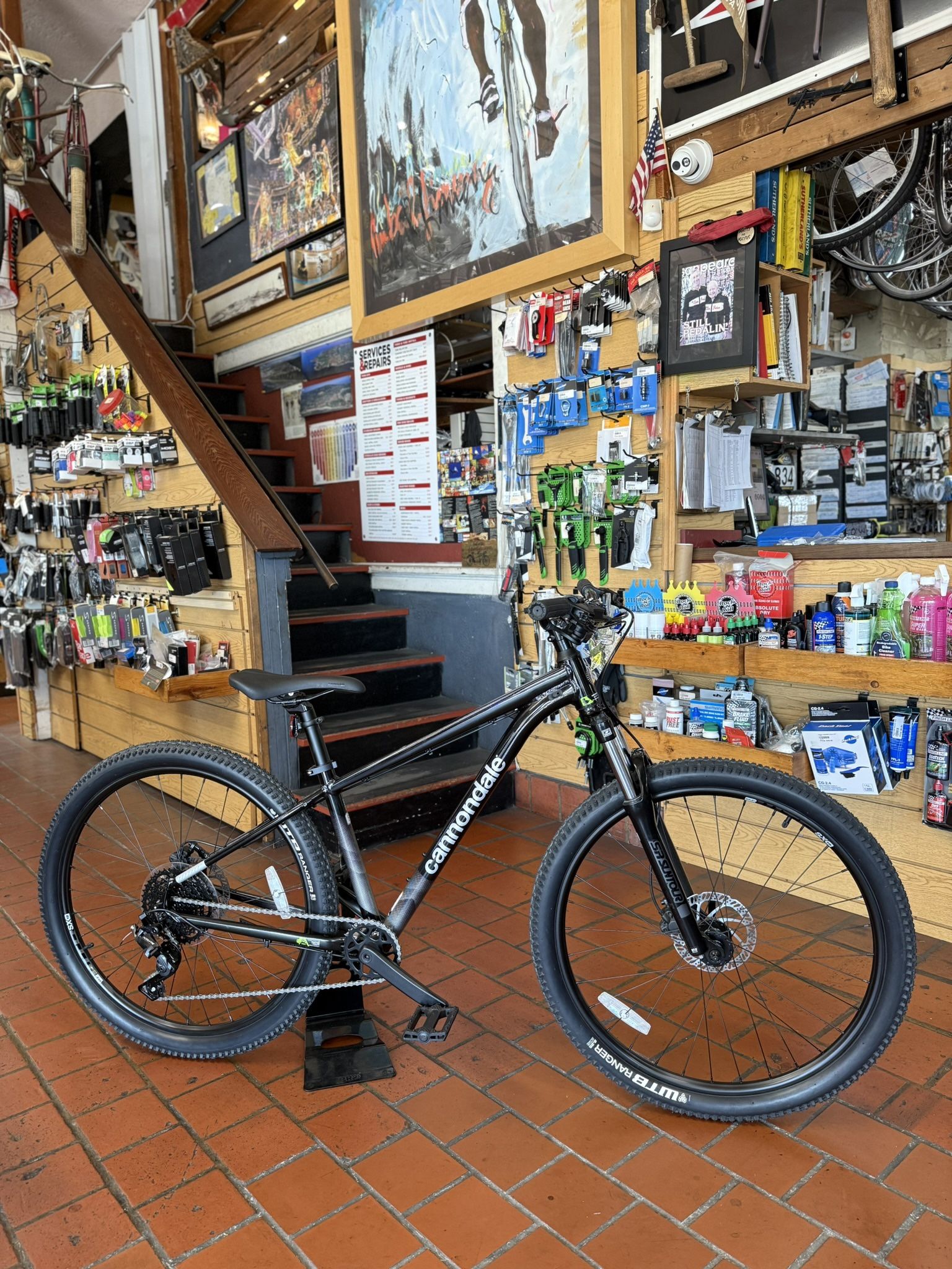 Mountain Bike